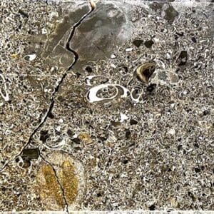 A close up of the ground with rocks and water