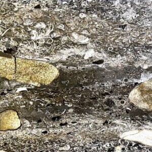 A rock and some dirt on the ground