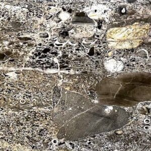 A close up of the surface of a rock