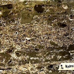 A close up of some dirt and rocks