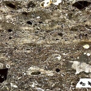 A close up of rocks and dirt