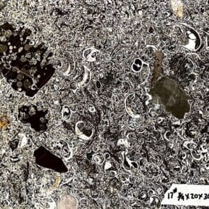 A close up of some rocks and mud