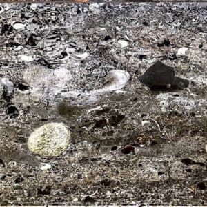 A close up of some rocks and dirt