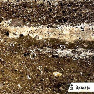 A close up of dirt and grass with some writing