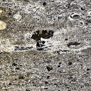 A close up of the ground with rocks and dirt