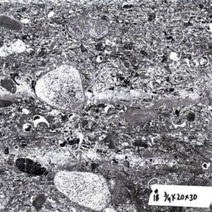 A black and white photo of rocks with labels.