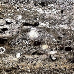 A close up of rocks and dirt on the ground