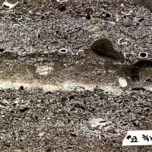 A close up of the ground with holes in it