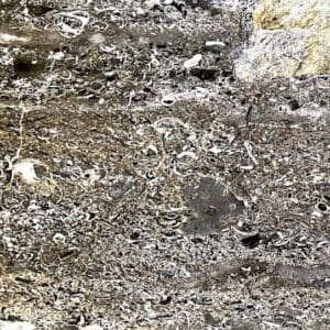 A close up of the ground with rocks and dirt