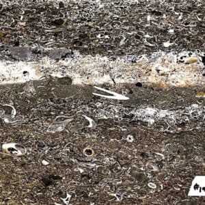 A close up of dirt and rocks with white lines