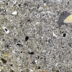 A close up of the ground with rocks and small stones