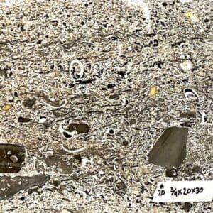 A close up of the ground with many pieces of paper